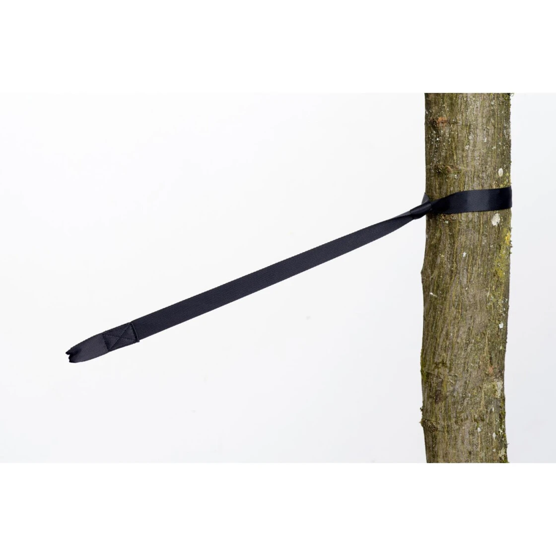 Amazonas Baumschutz 'Tree Hugger' 2 Amazonas Baumschutz 'Tree Hugger' – Bild 2