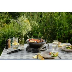 Campingaz Grill '360' Anthrazit -CampGlück Verkäufe campingaz grill 360 anthrazit5