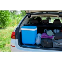 Campingaz Kühlbox 'Icetime Plus', 26 L