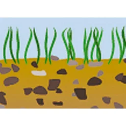 Coghlans Alu Zelt Heringe, Gedreht, 23 Cm, 25 G