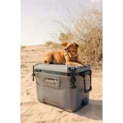 Coleman Kühlbox 'Convoy' 55qt, 53 L -CampGlück Verkäufe coleman kuehlbox convoy 55qt 53 l5