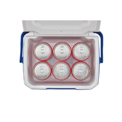 Coleman Kühlbox Performance 6 Personal 5 QT 4,7 L