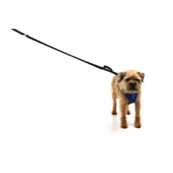 Mountain Paws Leine 'Shock Absorber', Schwarz -CampGlück Verkäufe mountain paws leine shock absorber schwarz4