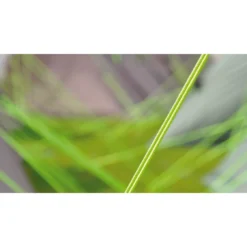 Outwell Zelt 'Cloud' -CampGlück Verkäufe outwell zelt cloud12