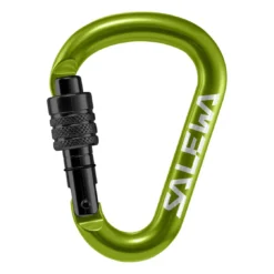 Salewa Karabiner 'HMS G2' Small Grün Screw
